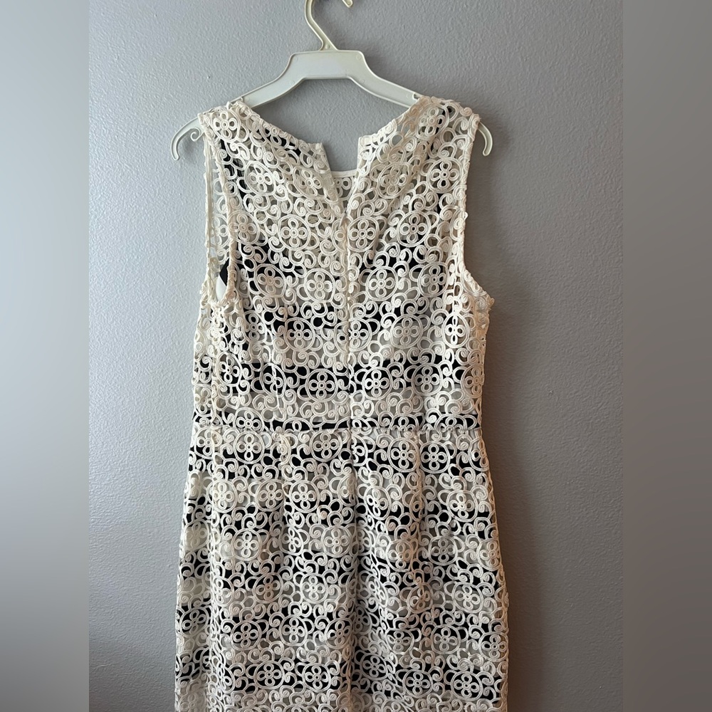 White lace with built in black and white stripe dress - Picture 2 of 3